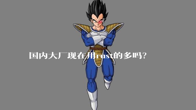 国内大厂现在用rust的多吗？