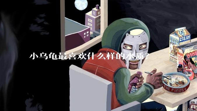 小乌龟最喜欢什么样的水质？