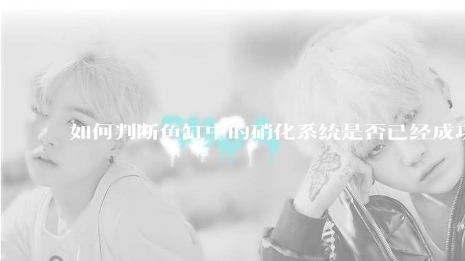 如何判断鱼缸中的硝化系统是否已经成功建立？