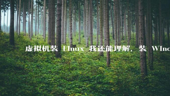 虚拟机装 Linux 我还能理解，装 Windows 有什么用？