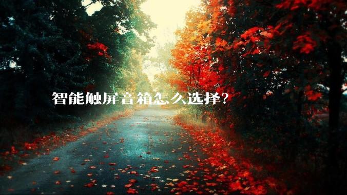 智能触屏音箱怎么选择？
