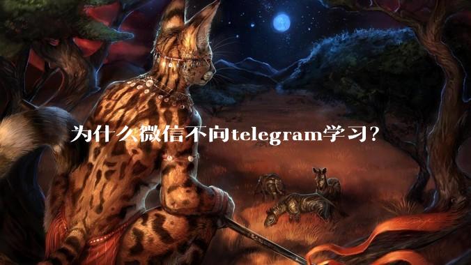 为什么微信不向telegram学习？