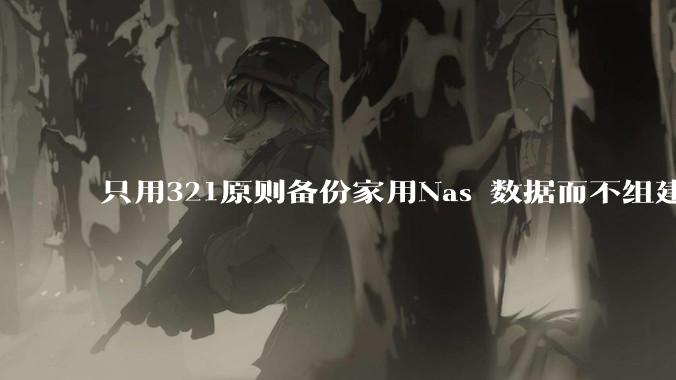 只用321原则备份家用Nas 数据而不组建raid阵列的人，不怕哪天备份全部同时损坏导致无法恢复吗？