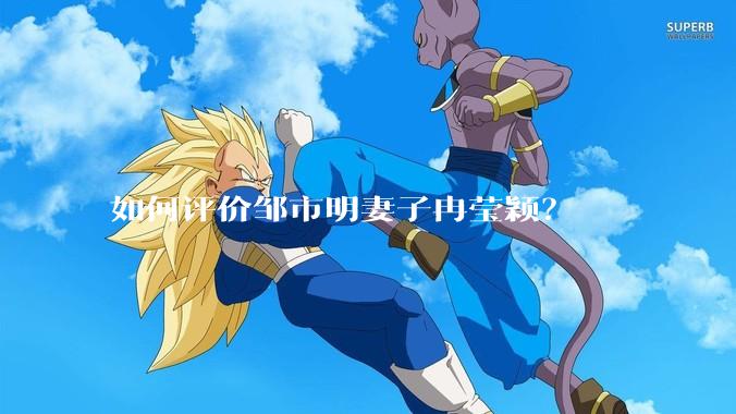 如何评价邹市明妻子冉莹颖？