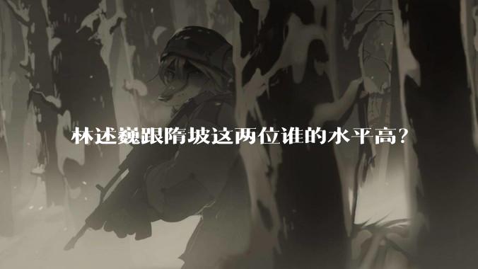 林述巍跟隋坡这两位谁的水平高？