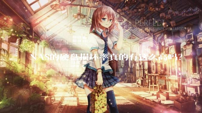 NAS的硬盘损坏率真的有这么高吗？