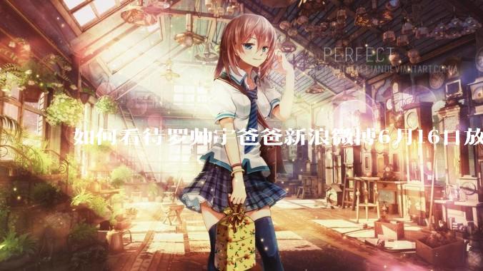 如何看待罗帅宇爸爸新浪微博6月16日放出的录音材料？