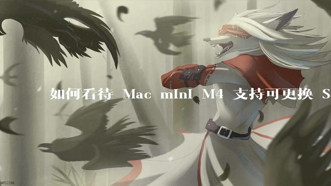 如何看待 Mac mini M4 支持可更换 SSD？