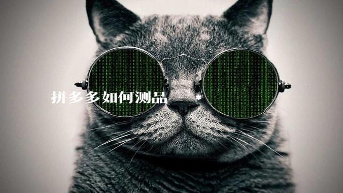 拼多多如何测品 - *