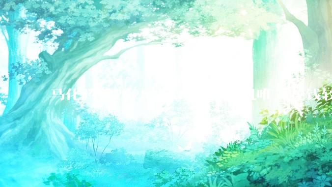 马化腾称2025是AI大年 腾讯唯一花钱较多的就是AI_对公司_人才_战略