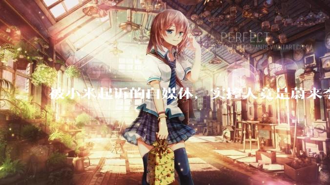 被小米起诉的自媒体，实控人竟是蔚来李斌？他只是背锅侠_易车_汽车_信息