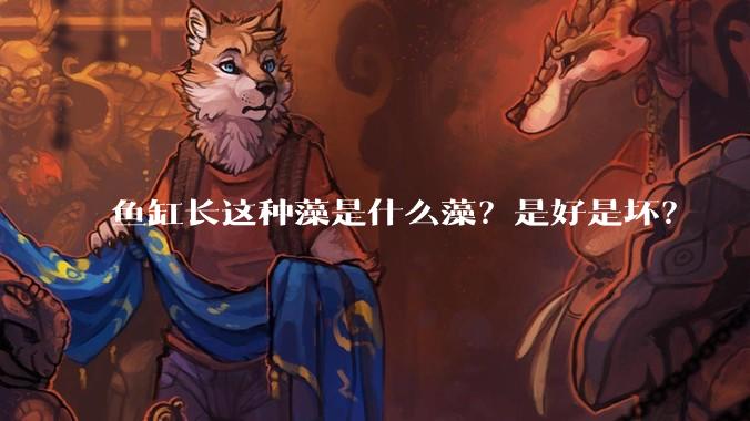 鱼缸长这种藻是什么藻？是好是坏？