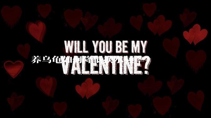 养乌龟如何降低换水频率？