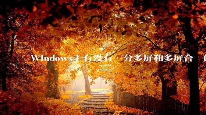 Windows上有没有一分多屏和多屏合一的软件？