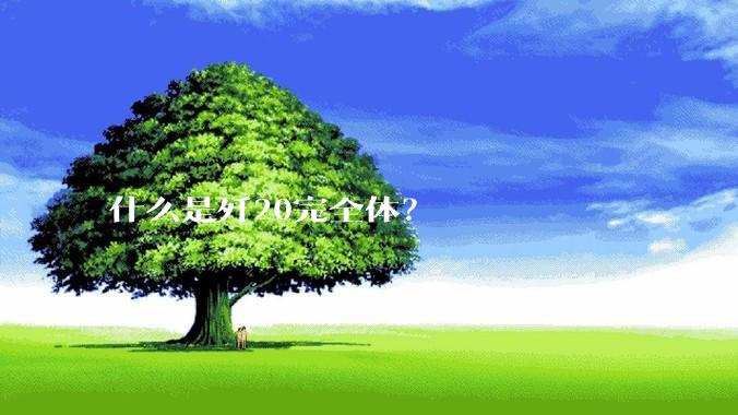 什么是歼20完全体？