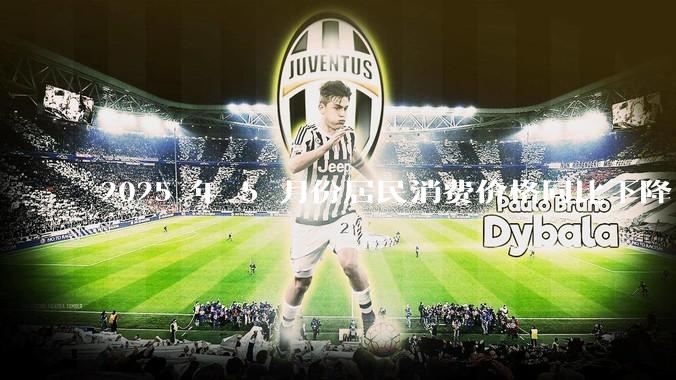 2025 年 5 月份居民消费价格同比下降 0.1%，如何看待这一数据？