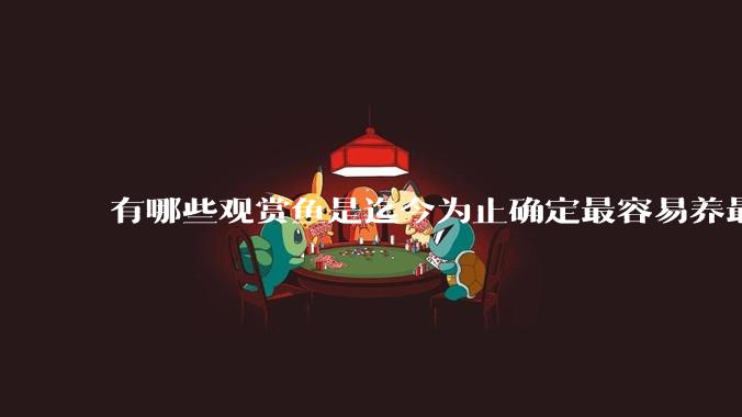 有哪些观赏鱼是迄今为止确定最容易养最不容易死的？