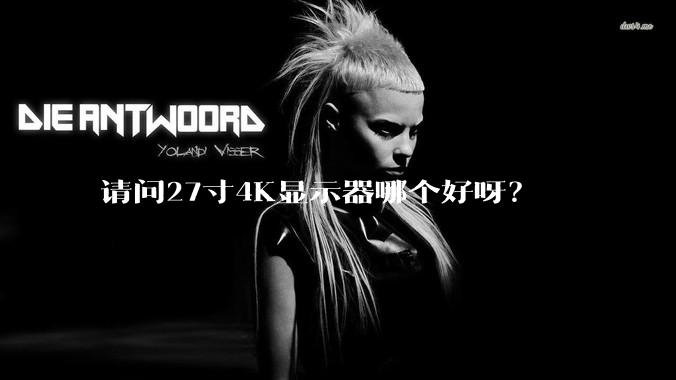 请问27寸4K显示器哪个好呀？
