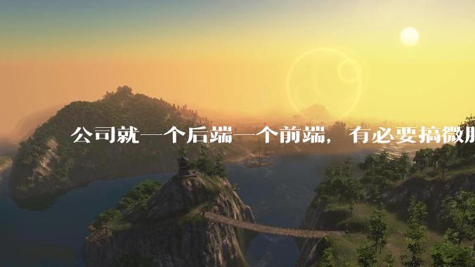 公司就一个后端一个前端，有必要搞微服务吗？