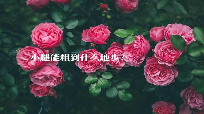 小腿能粗到什么地步？