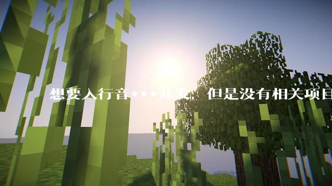 想要入行音***开发，但是没有相关项目经验怎么办？